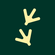 Norsk Kylling logo