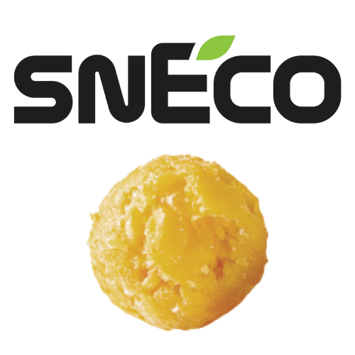 snEco logo