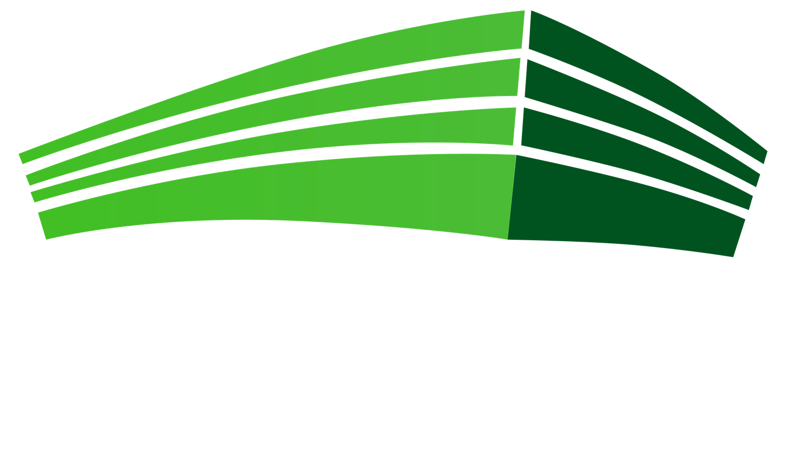 CODELSA logo