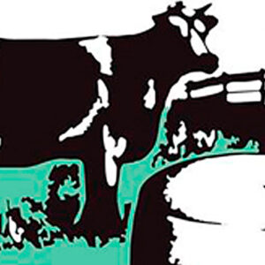 Quesos Sandrita logo