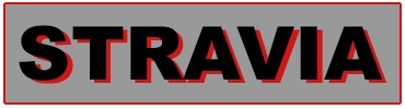 Stravia logo