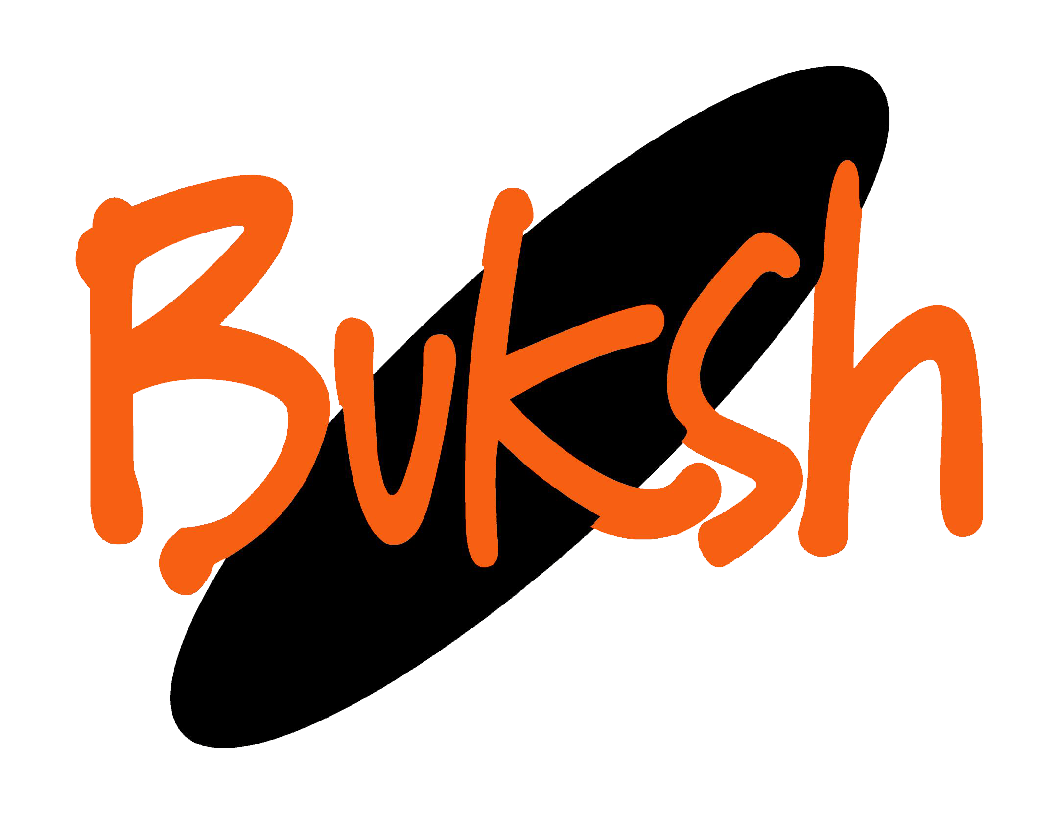 Buksh Industries (Pvt.) Ltd. logo