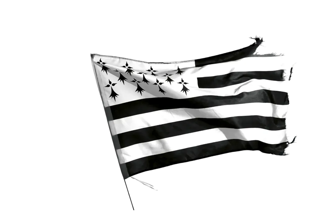 A.G.M logo
