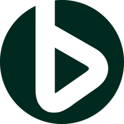 Baikal Electronics logo