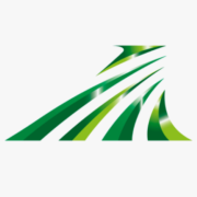 Rapidus Corporation logo